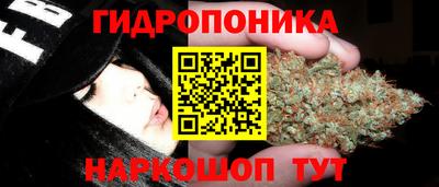 ГАЛЛЮЦИНОГЕННЫЕ ГРИБЫ Камень-на-Оби