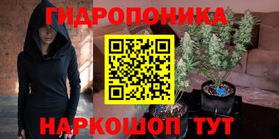 гашиш Ачхой-Мартан