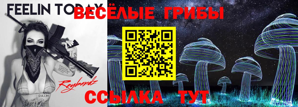 Кашира  Галлюциногенные грибы Magic Shrooms  Вход с VPN 